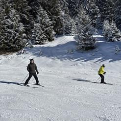 Zwei Skifahrer fahren auf einer schneebedeckten Piste, umgeben von verschneiten Tannenbäumen.