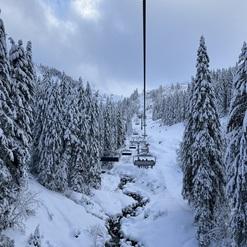 Seilbahn über schneebedeckte Bäume und einen zugefrorenen Bach in winterlicher Berglandschaft.