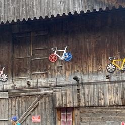 Bunte Fahrrad-Motive an einer rustikalen Holzwand mit Fenstern und Hinweisschildern.