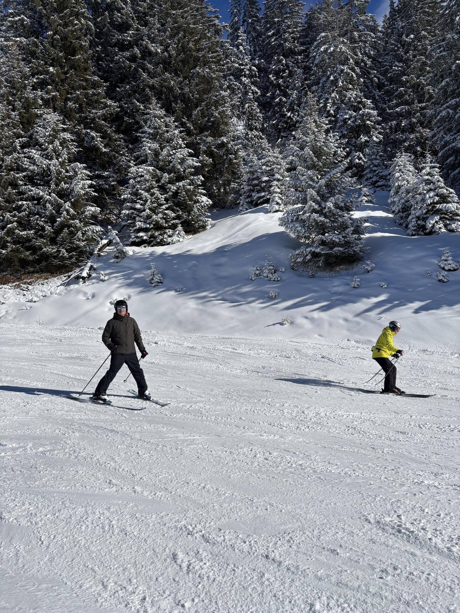 Zwei Skifahrer fahren auf einer schneebedeckten Piste, umgeben von verschneiten Tannenbäumen.