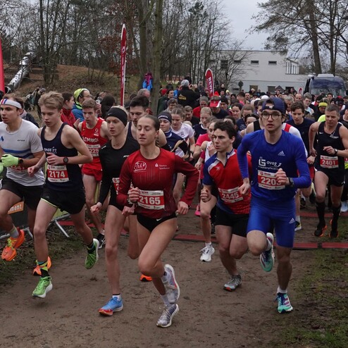 Start einer Laufveranstaltung mit zahlreichen Athleten in Sportkleidung, die auf einem unbefestigten Weg in Bewegung sind.