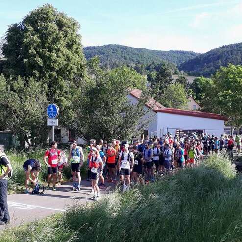 Gruppierung von Laufteilnehmern an einer Straße, umgeben von Bäumen und Gebäuden, bei einem Wettkampf.