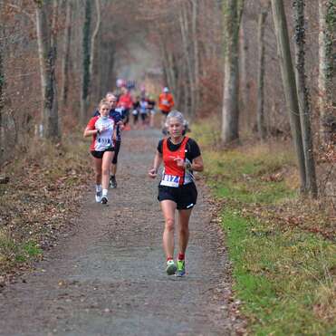 Gruppe von Läufern auf einem Waldweg, darunter zwei Frauen in Sportbekleidung mit Startnummern.
