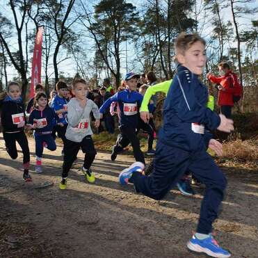 Gruppe von Kindern in Sportkleidung beim Laufen in einem Wald auf einem Wettkampf. Zuschauer sind im Hintergrund zu sehen.