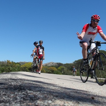 Vier Radfahrer fahren auf einer Straße umgeben von Bäumen und Grünflächen bei klarem blauen Himmel.
