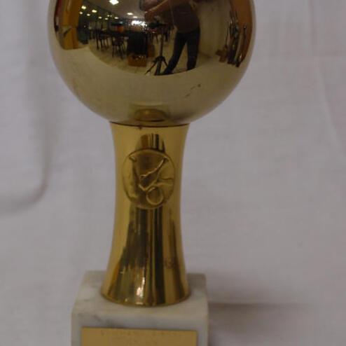 Goldene Trophäe auf marmorner Basis, reflektiert Umgebung, mit unbeschrifteter Plakette.