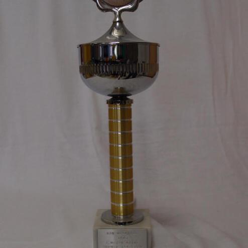 Silberner Pokal mit runder Medaille auf einem gestreiften, gelben Sockel auf weißem Hintergrund.