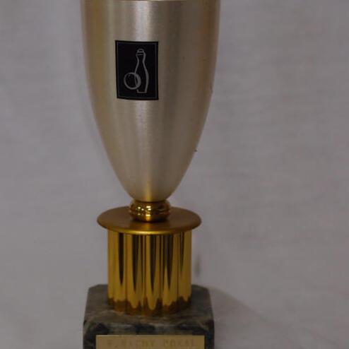 Pokale aus goldfarbenem Metall mit schwarzem Logo auf einem marmorierten Sockel und einer Namensplatte.