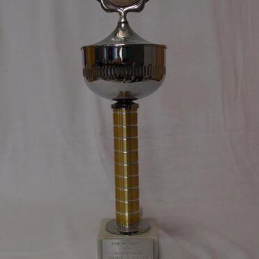 Silberner Pokal mit runder Medaille auf einem gestreiften, gelben Sockel auf weißem Hintergrund.