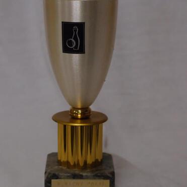 Pokale aus goldfarbenem Metall mit schwarzem Logo auf einem marmorierten Sockel und einer Namensplatte.