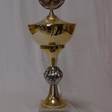 Goldener Pokal mit Silberbasis und bronzenem Emblem, auf einem weißen Hintergrund abgebildet.