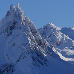 Schneebedeckte Bergspitzen unter klarem blauen Himmel, umgeben von schneebedeckten Hängen und vereinzelten Bäumen.