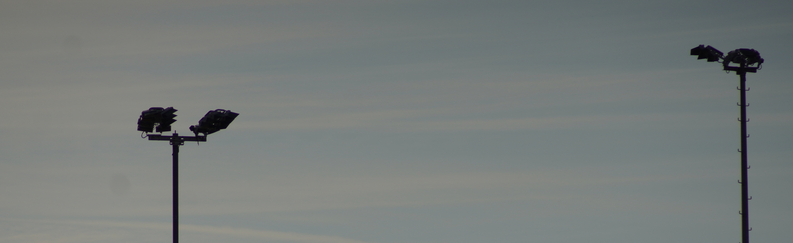 Blick auf mehrere Lichtmasten und einen kahlen Baum vor einem grauen Himmel.