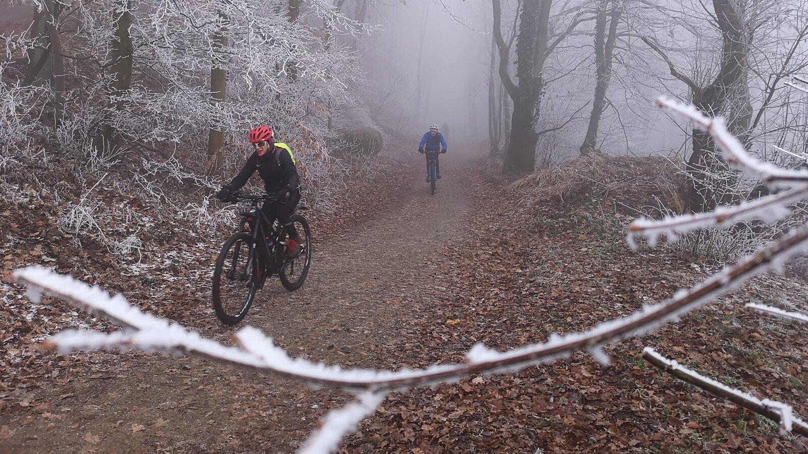Zwei Mountainbiker fahren auf einem schmalen Weg durch einen nebelverhangenen, frostigen Wald.