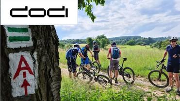 Gruppe von Mountainbikern mit Fahrrädern im Grünen, vor einem Baum mit Wegmarkierungen.