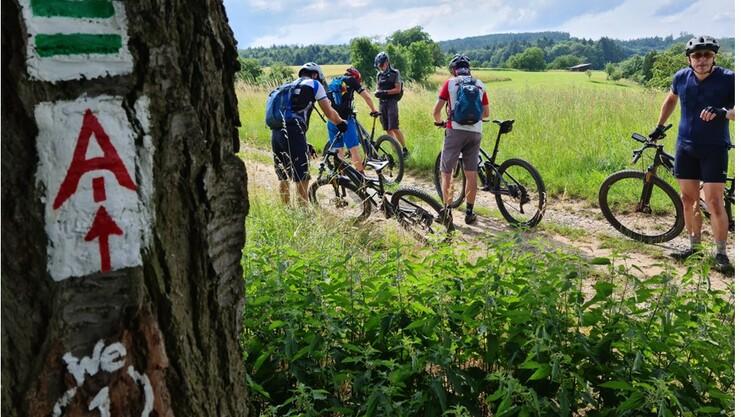 Gruppe von Mountainbikern mit Fahrrädern im Grünen, vor einem Baum mit Wegmarkierungen.