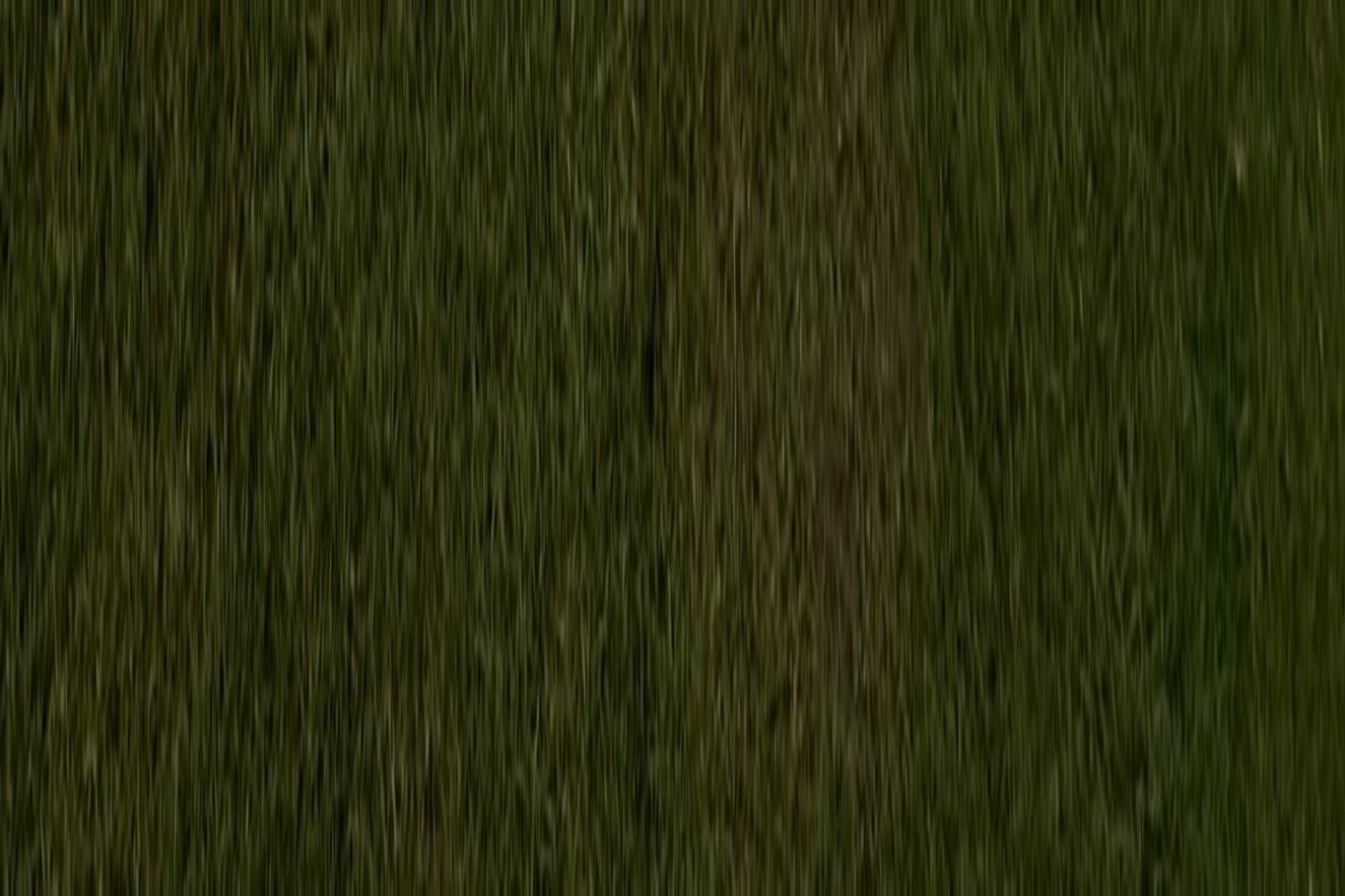 Gruppenfoto von etwa 60 Kindern und Jugendlichen in roten T-Shirts vor einem weißen Gebäude, einige machen lustige Posen.