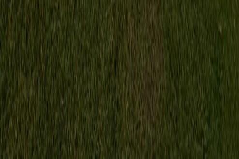 Gruppenfoto von etwa 60 Kindern und Jugendlichen in roten T-Shirts vor einem weißen Gebäude, einige machen lustige Posen.