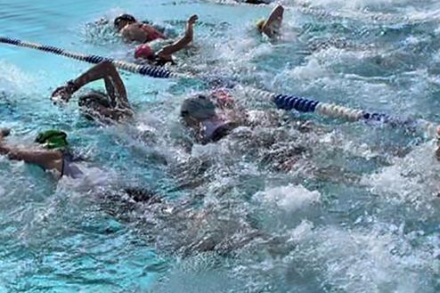 Wettkampfähnliche Szene mit mehreren Schwimmern im Wasser eines Hallenbades, die intensiv trainieren.