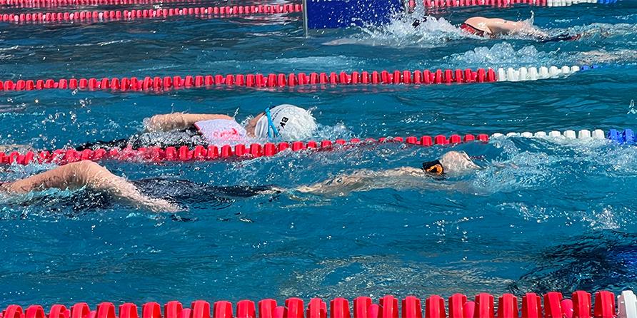 Schwimmer in einem Wettkampf simulieren verschiedene Schwimmstile in einem blauem Schwimmbecken mit Trennbu&szlig;en.