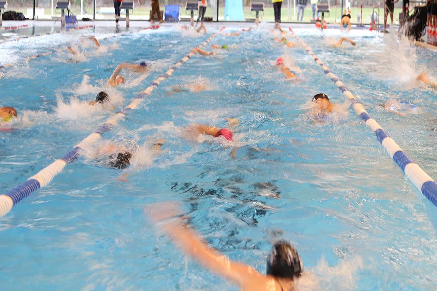 Schwimmer in einem Hallenbad absolvieren ein Wettkampftraining in einem belebten Schwimmbecken mit Startblöcken.