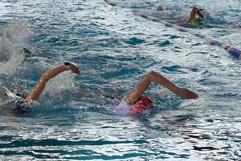 Schwimmerinnen im Wasser, die Wettkampfstarts im Rückenschwimmen auf einer Bahn im Schwimmbecken ausführen.